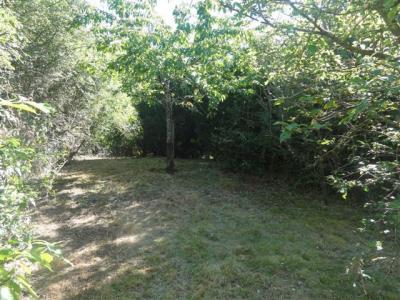 Louer Maison Breuil 950 euros