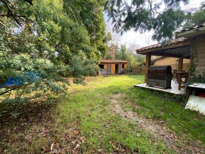 Annonce Vente 4 pi�ces Maison Lege-cap-ferret 33