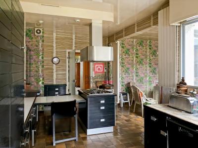 Annonce Vente 21 pi�ces Maison Villeneuve-sur-yonne 89