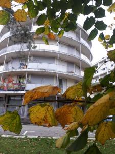 For rent Tronche 1 room 25 m2 Isere (38700) photo 0