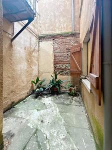 Louer Appartement Toulouse Haute garonne