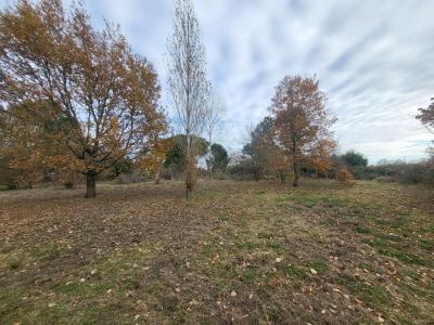 Acheter Terrain 1000 m2 Blaye