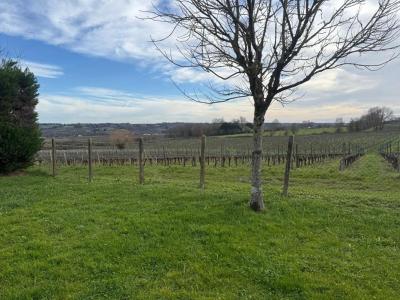 For sale Cars 10 rooms 257 m2 Gironde (33390) photo 1