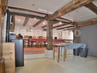 Acheter Maison 446 m2 Saint-hippolyte