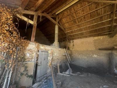 Acheter Terrain Dolus-d'oleron Charente maritime