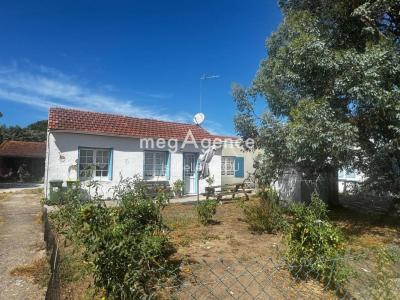 Acheter Maison 200 m2 Dolus-d'oleron