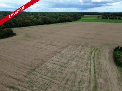 For sale Molac 1150 m2 Morbihan (56230) photo 0