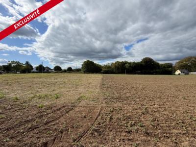 Annonce Vente Terrain Molac 56