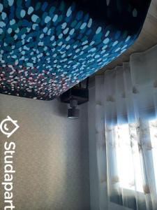 Annonce Location Appartement Annemasse 74