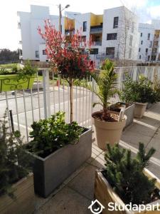 For rent Rennes 1 room 11 m2 Ille et vilaine (35700) photo 4