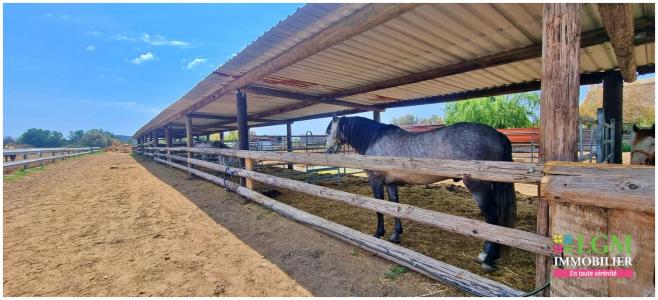 Acheter Commerce Grau-du-roi 599900 euros