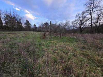 Acheter Commerce Oulches Indre