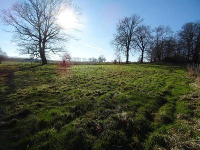 Annonce Vente Terrain Espaubourg 60