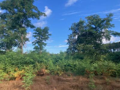 For sale Salles 800 m2 Gironde (33770) photo 0