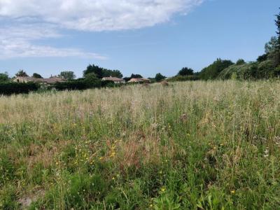 Annonce Vente Terrain Jonquieres 84