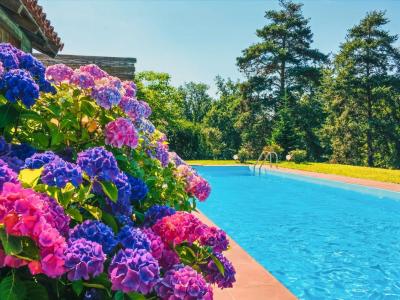 Annonce Vente Prestige Montdurausse 81