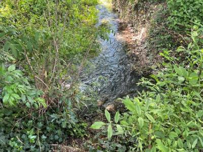 Acheter Maison  Charente