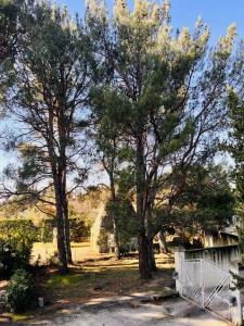 Annonce Vente 5 pi�ces Maison  84