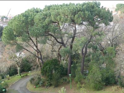 Acheter Appartement Arcachon Gironde