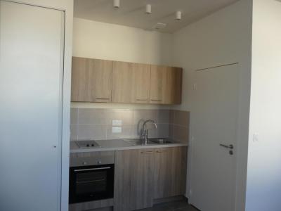 For rent Mans 1 room 21 m2 Sarthe (72000) photo 1