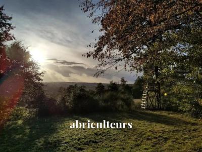 Annonce Vente 9 pi�ces Maison Saint-mesmin 24