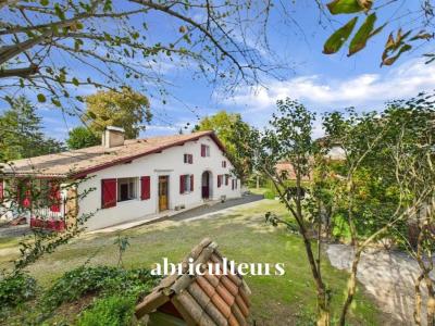 Acheter Maison Tilh Landes