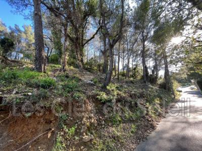 For sale Revest-les-eaux 21500 m2 Var (83200) photo 0