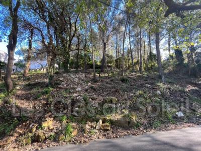 Acheter Terrain 21500 m2 Revest-les-eaux