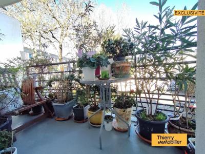 Annonce Vente 2 pi�ces Appartement Nantes 44