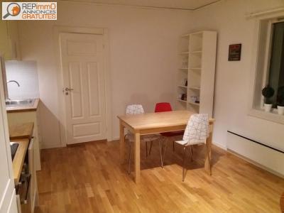 Louer Appartement 42 m2 Lyon