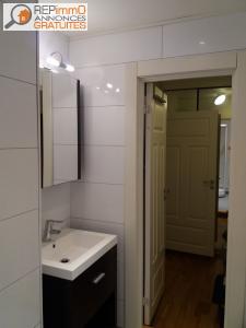 Louer Appartement Lyon 550 euros