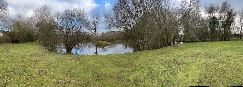 For sale Pouzauges 1 room 3735 m2 Vendee (85700) photo 0