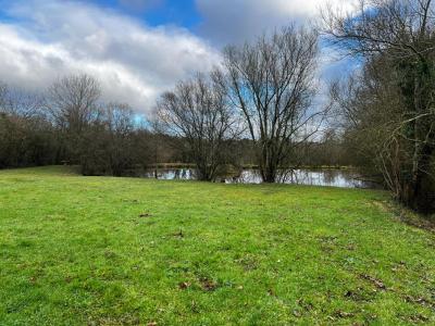 Annonce Vente Terrain Pouzauges 85