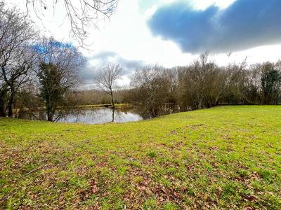 Acheter Terrain Pouzauges Vendee