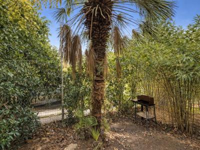 Acheter Appartement 35 m2 Porto-vecchio