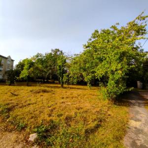Acheter Terrain Saint-julien-l'ars 45000 euros