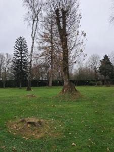 Annonce Vente Terrain Chapelle-caro 56