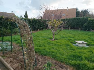 Acheter Maison 137 m2 Colleville-montgomery