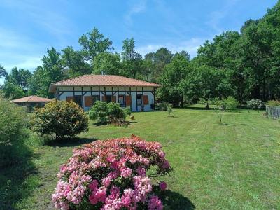 For sale Castets 5 rooms 136 m2 Landes (40260) photo 0