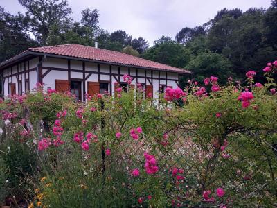 Annonce Vente 5 pi�ces Maison Castets 40