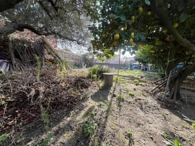 Acheter Maison 230 m2 Canohes