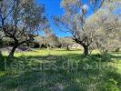 For sale Land Toulon  5900 m2