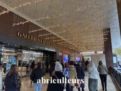 Annonce Vente Parking Paris-9eme-arrondissement 75