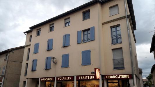For rent Montmerle-sur-saone 4 rooms 84 m2 Ain (01090) photo 0