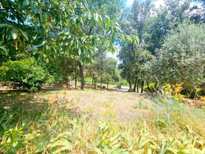 Acheter Maison Brignoles 470000 euros