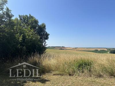 Acheter Prestige Mauvezin 325000 euros