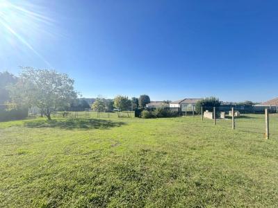 For rent Berson 4 rooms 74 m2 Gironde (33390) photo 1