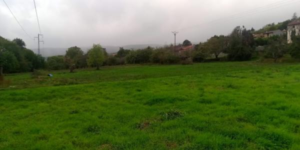 Acheter Terrain Courniou 36000 euros