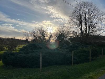 Acheter Terrain Saint-caprais-de-bordeaux 125000 euros