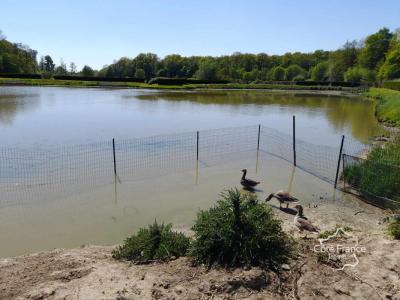 For sale Feron 15912 m2 Nord (59610) photo 0